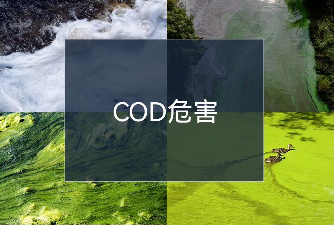 k��Ǯ���ٷ���վ - KDpayǮ��
